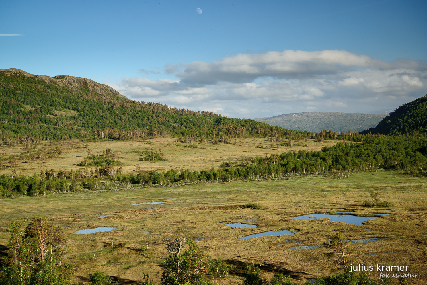 Norwegisches Hochmoor