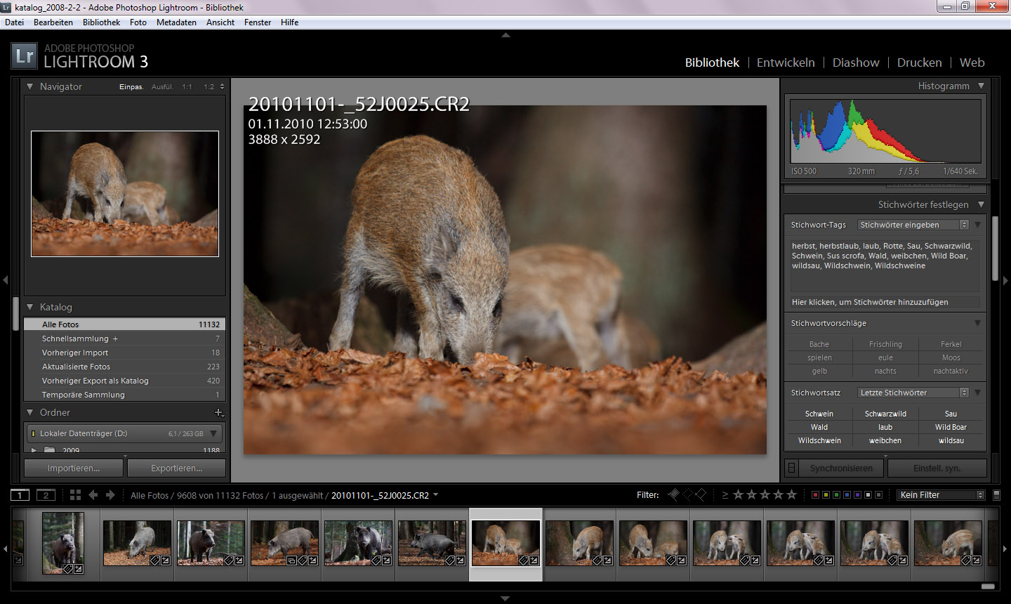 lightroom bibliothek