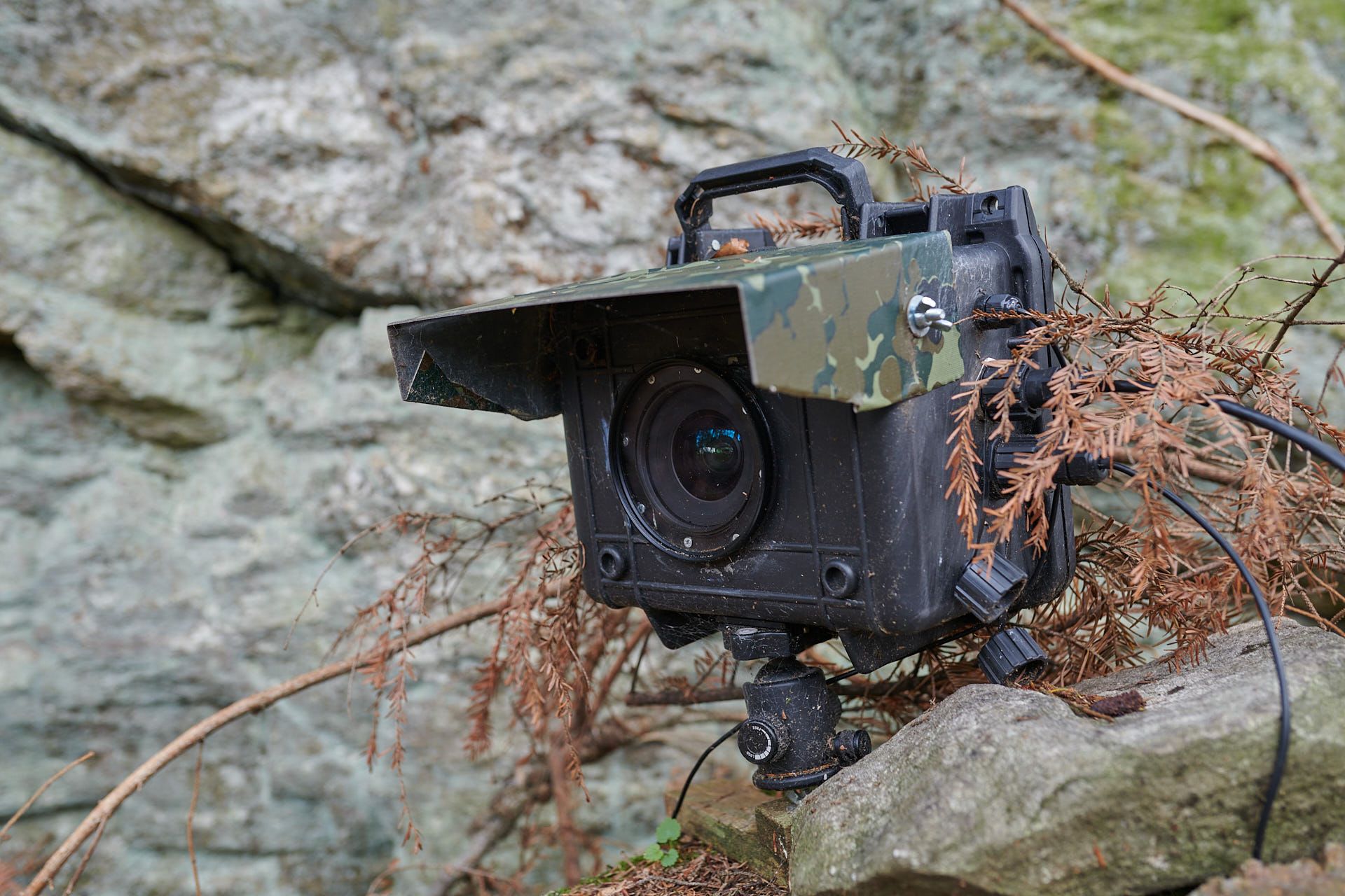 DSLR-Cameratrap 