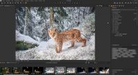 Wechsel von Lightroom zu Capture One