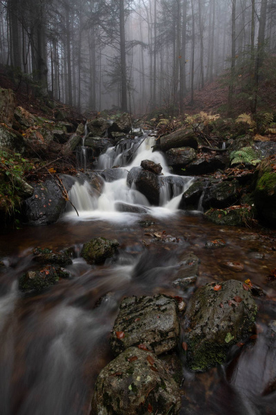 Novembernebel liegt über einem Bergbach in der Nähe des Großen Arbers.