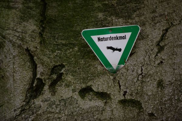 Naturdenkmal