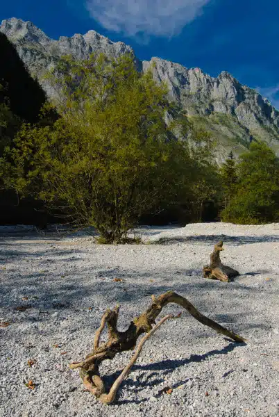 Gries am Königssee