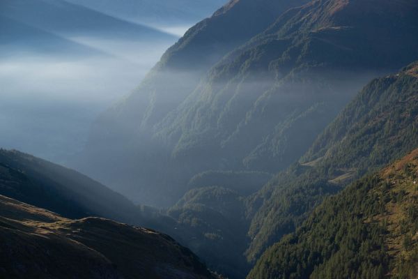 Bewaldete Berghänge und neblige Täler des Großglockner-Massivs in Österreich.