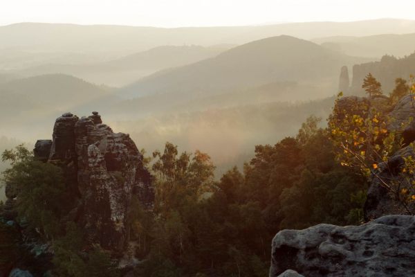 Sandsteinfelsen und Wälder des Elbsandsteingebirges bei Morgendämmerung.