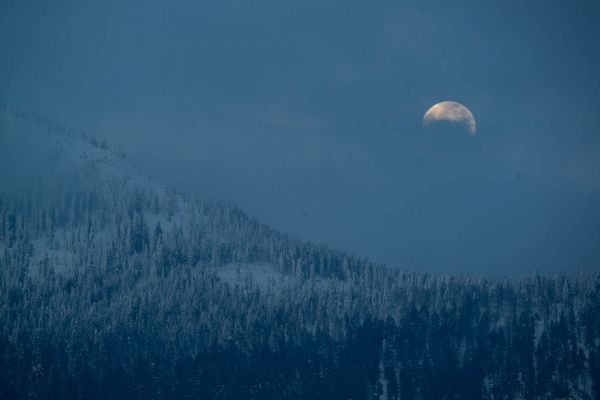 Verschneiter Wald und Mondaufgang über dem Berg Osser im Dämmerlicht.