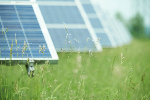 Solarmodule in einer grünen Wiese, integriert in die Landschaft.