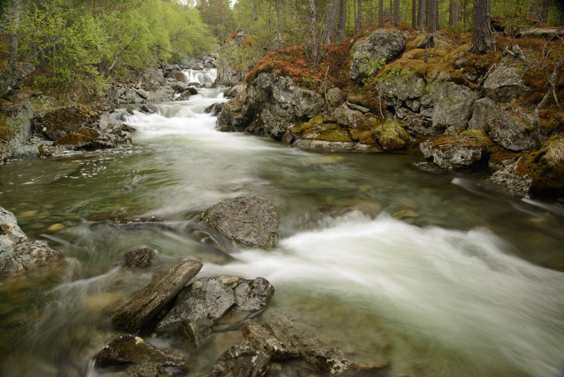 Ein Fluss fließt durch eine felsige, bewaldete Landschaft in Skandinavien.