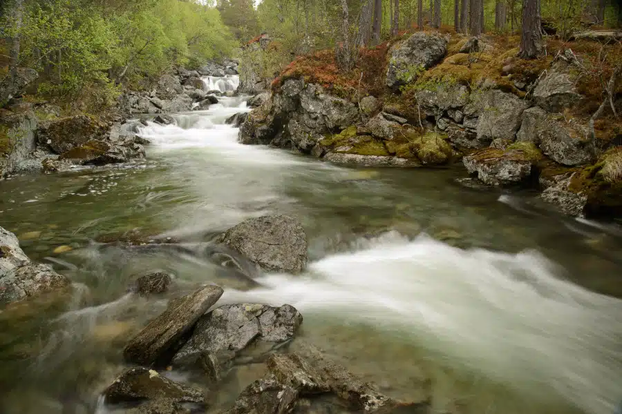 Ein Fluss fließt durch eine felsige, bewaldete Landschaft in Skandinavien.