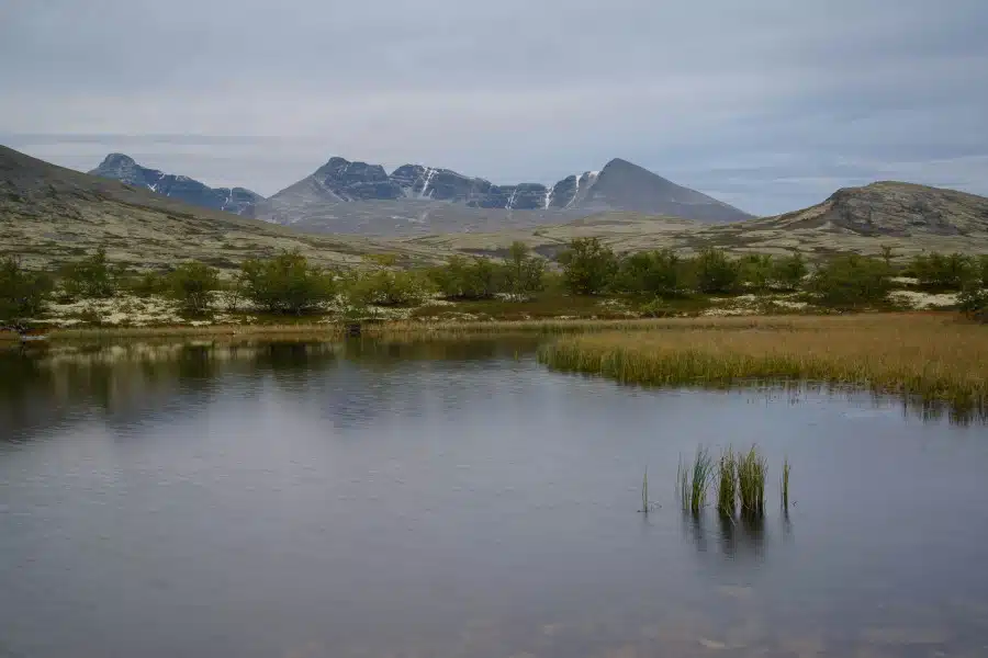 Stillen Wasser vor norwegischen Bergen mit Grasvegetation.
