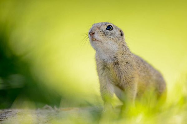 20160421-DSC_2401