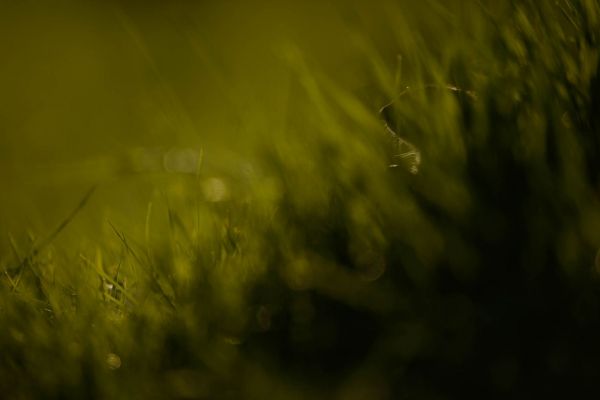 20160421-DSC_2961