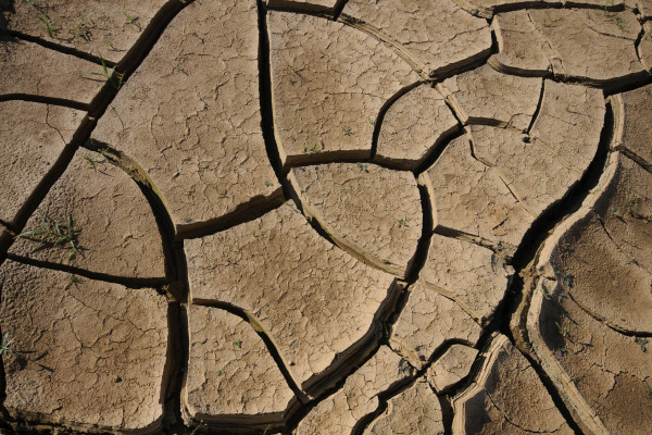 Nahaufnahme eines rissigen, trockenen Erdbodens mit deutlichen Spalten.