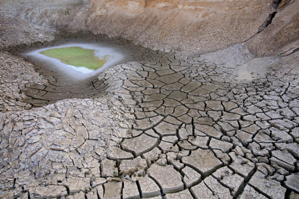 Ausgetrockneter Boden mit Rissen und kleiner Wasserfläche.