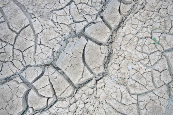 Trockener Boden mit deutlicher Rissbildung und spärlicher Vegetation.