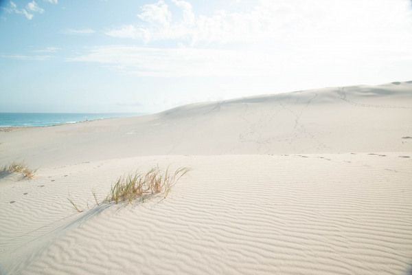 Sanddünen mit Gräsern und entspanntem Strand vor dem Atlantik.