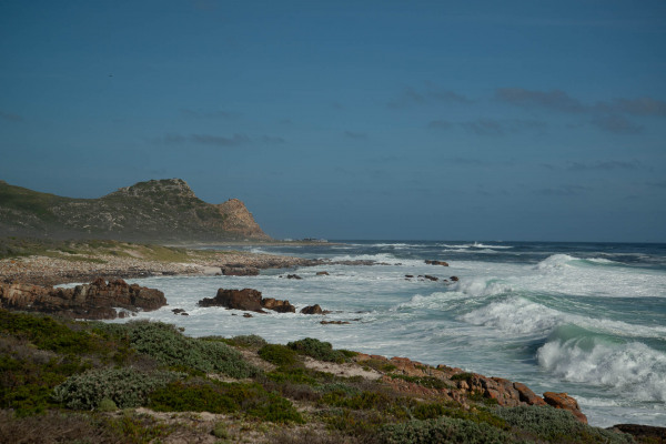 Felsige Küstenlandschaft mit Wellen am Kap der Guten Hoffnung.