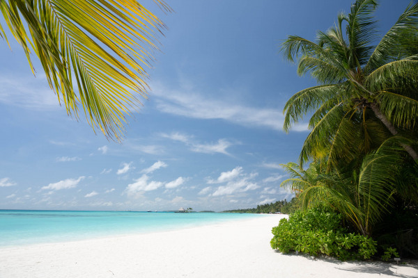 Strand mit Palmen, weißer Sand, türkisfarbenes Wasser, Malediven, blauer Himmel