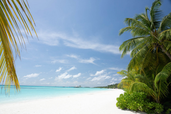 Weißer Sandstrand mit Palmen und türkisfarbenem Wasser, blauer Himmel