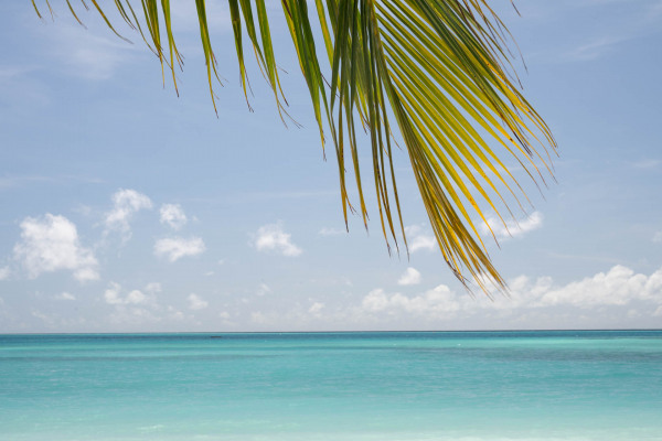 Tropische Küste mit klarem Wasser und Palmenblatt im Vordergrund.