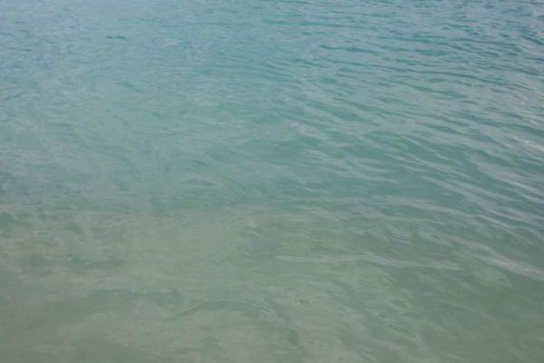 Sanft gewelltes, klares Wasser in einem tropischen Riffgebiet.