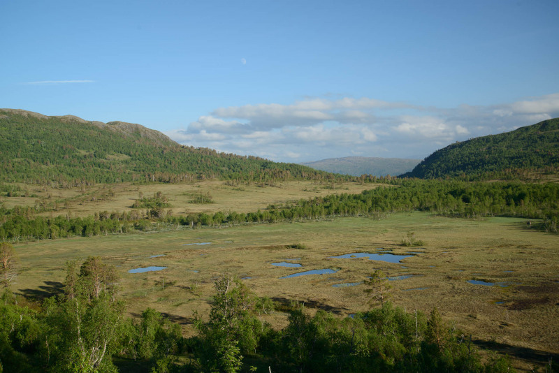Moorlandschaft in Norwegen