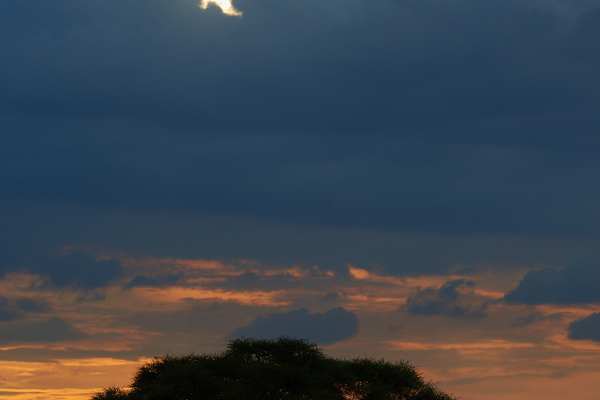 Silhouette eines Akazienbaums vor einem farbenprächtigen Sonnenuntergang in der Serengeti.