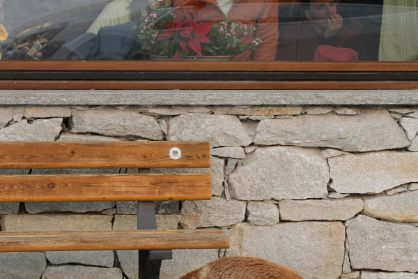 Ein Rotfuchs vor einer Steinmauer, beobachtet von Menschen hinter einem Fenster.