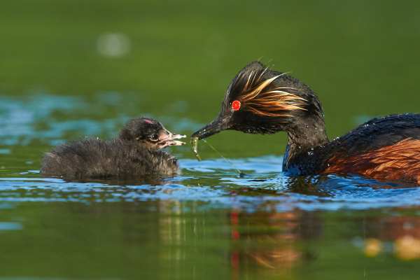 20080622-_DSC4451