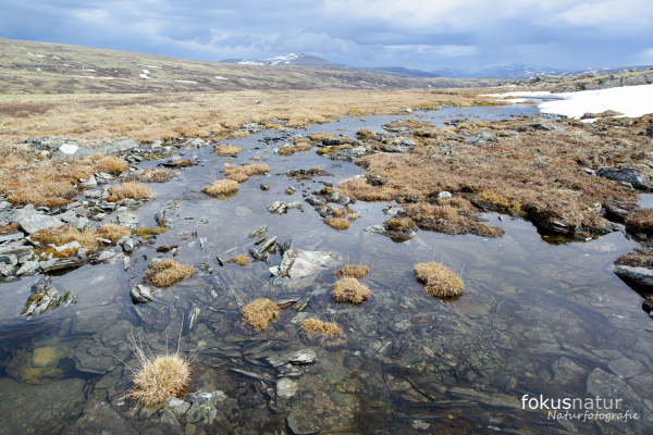 Fluss in norwegischer Tundralandschaft mit karger Vegetation.