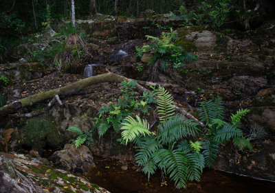 Landschaften & Lebensräume