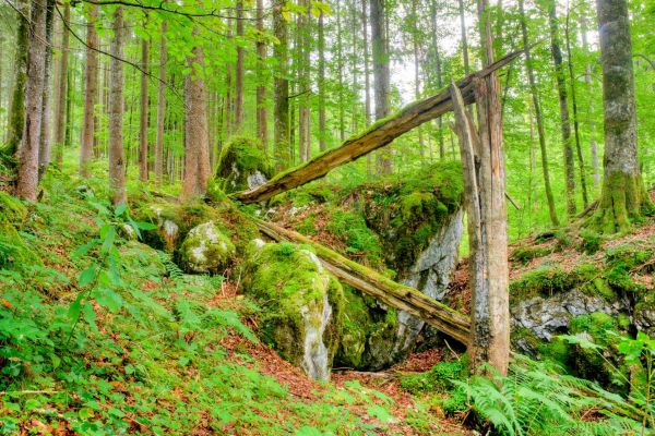 20110902-DSC_5681_2_3_4_5