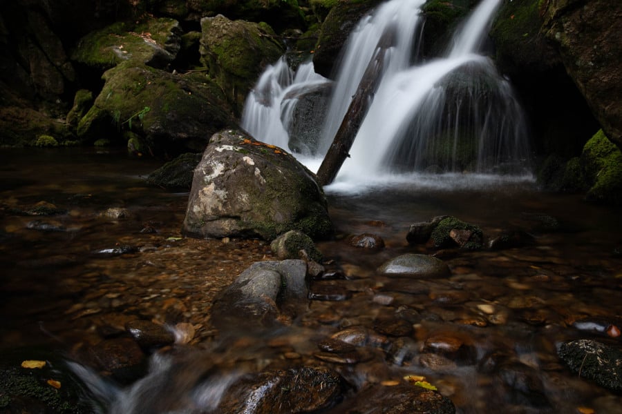Kleiner Wasserfall, fließend über moosige Felsen zwischen Bäumen.