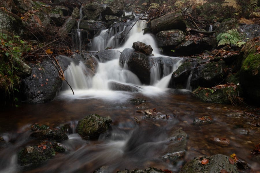 Nebliger Bergbach fließt durch moosbewachsenen, felsigen Wald.