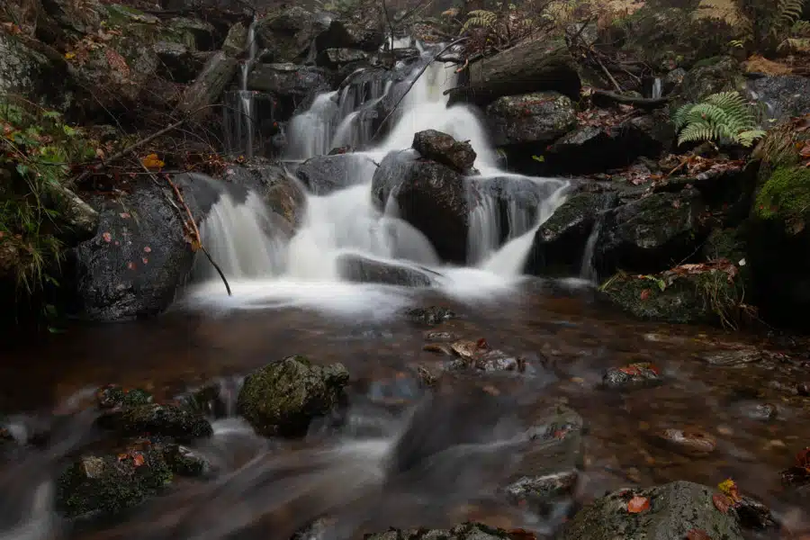 Nebliger Bergbach fließt durch moosbewachsenen, felsigen Wald.