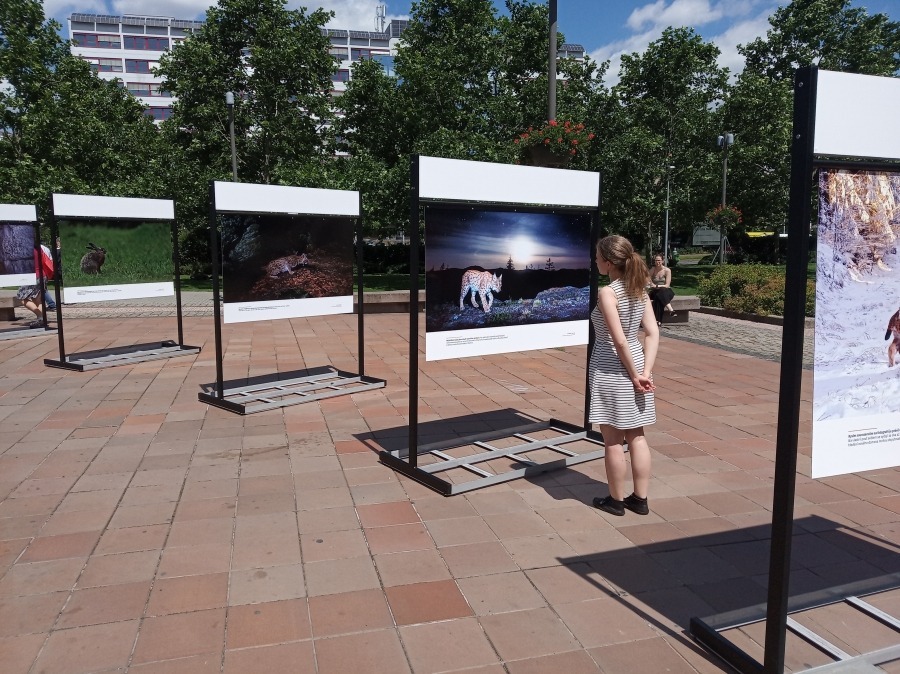 3Lynx Fotoausstellung in Prag.