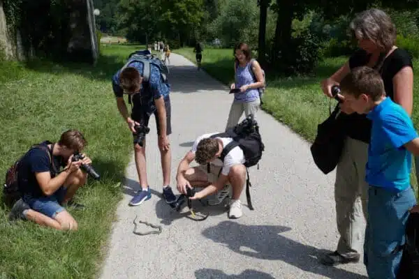 Kinder fotografieren eine Schlange.