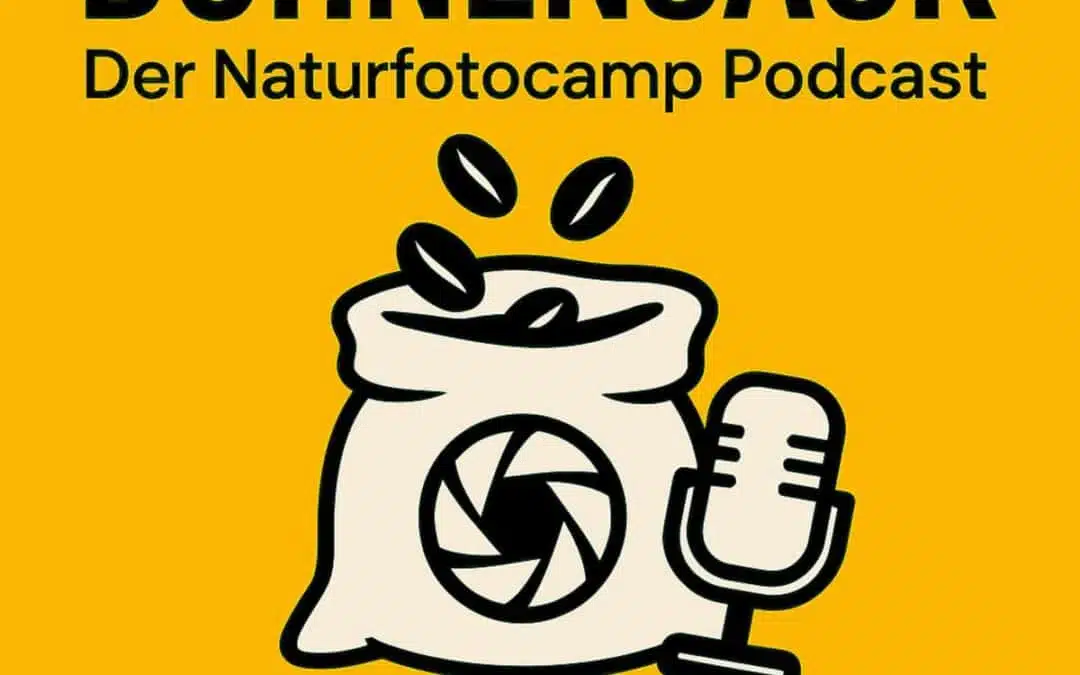 New podcast episode: Camera traps – technology, mistakes and fascination