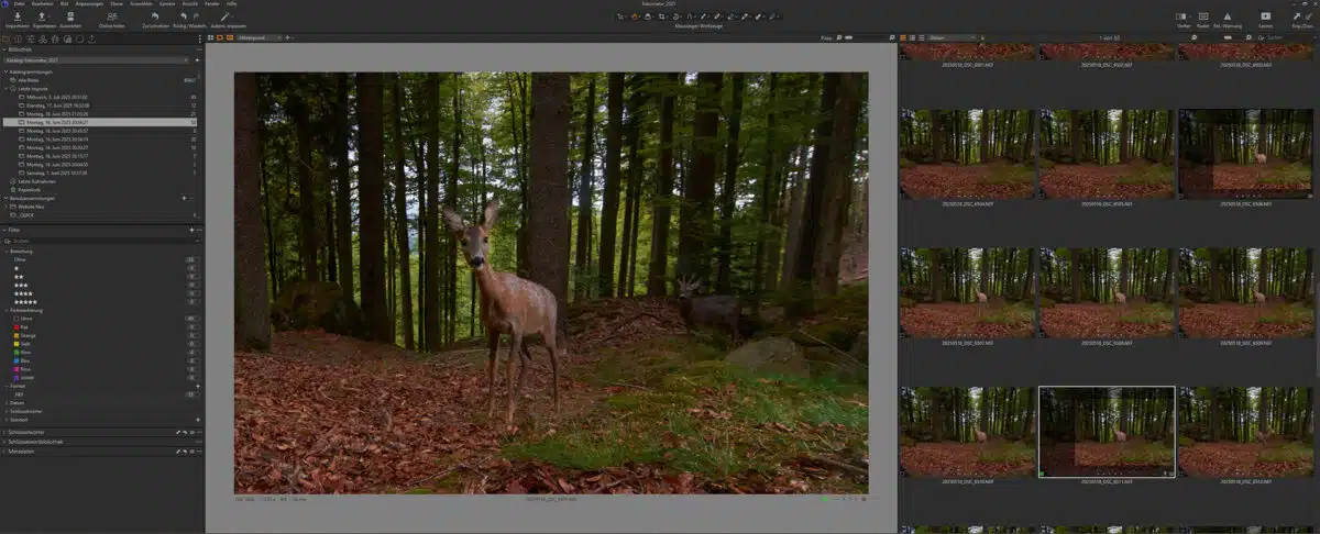 Screenshot meines Capture One.