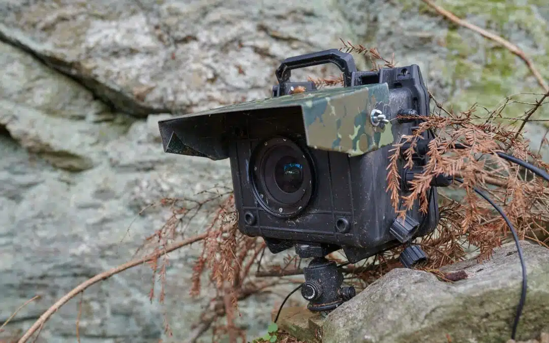 The right sensor for camera traps