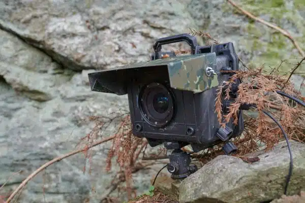 Eine DSLR-Kamerafalle an einem Felsen zur Fotografie von wilden Luchsen.