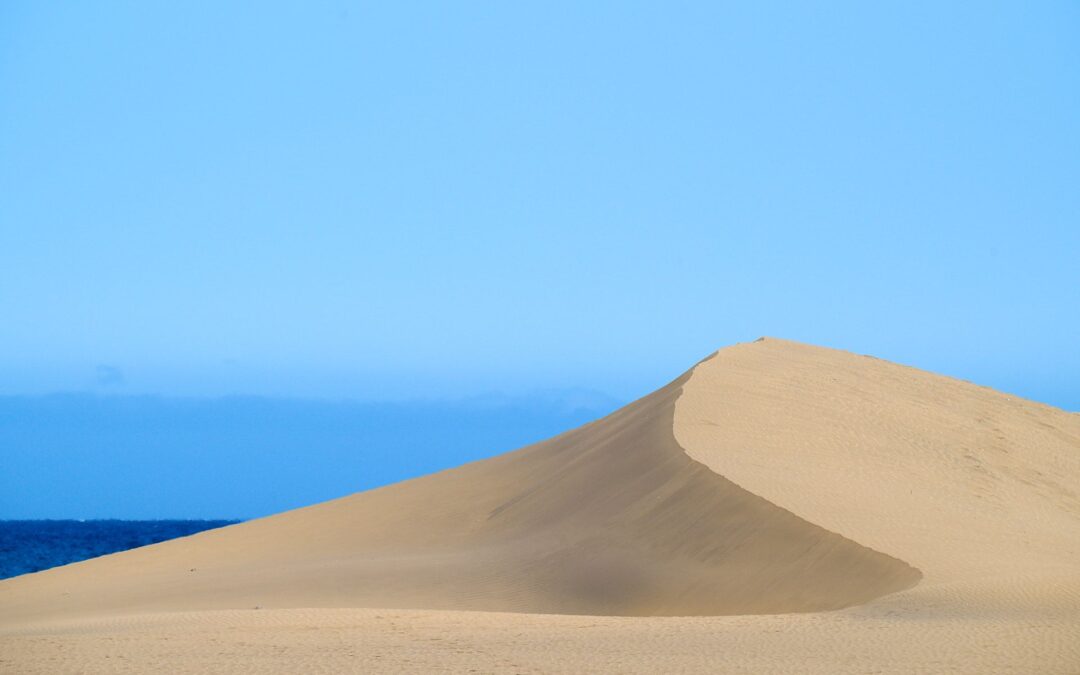 Abenteuer auf Gran Canaria: Eine Reise als Tierfotograf mit der Familie