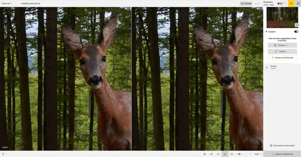Topazlabs Photo AI für Naturfotografen