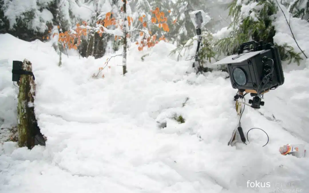 What is a camera trap?