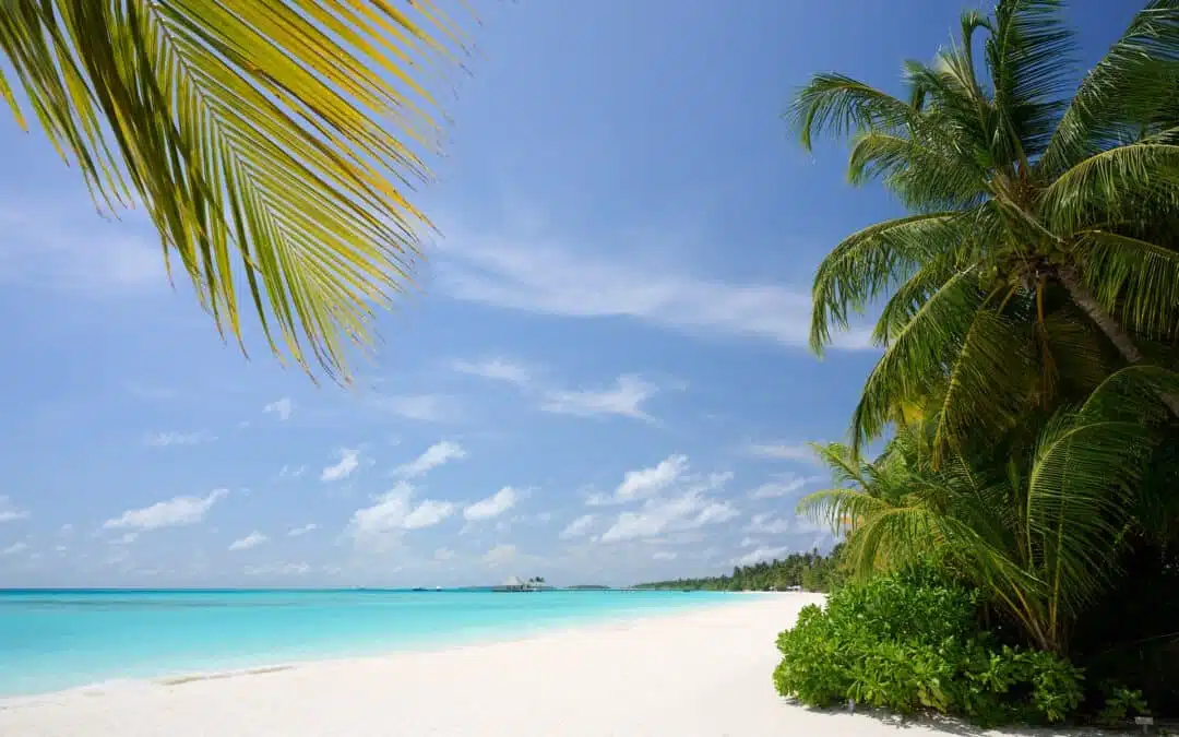 Maldives: Nature photography trip to Kandima Island