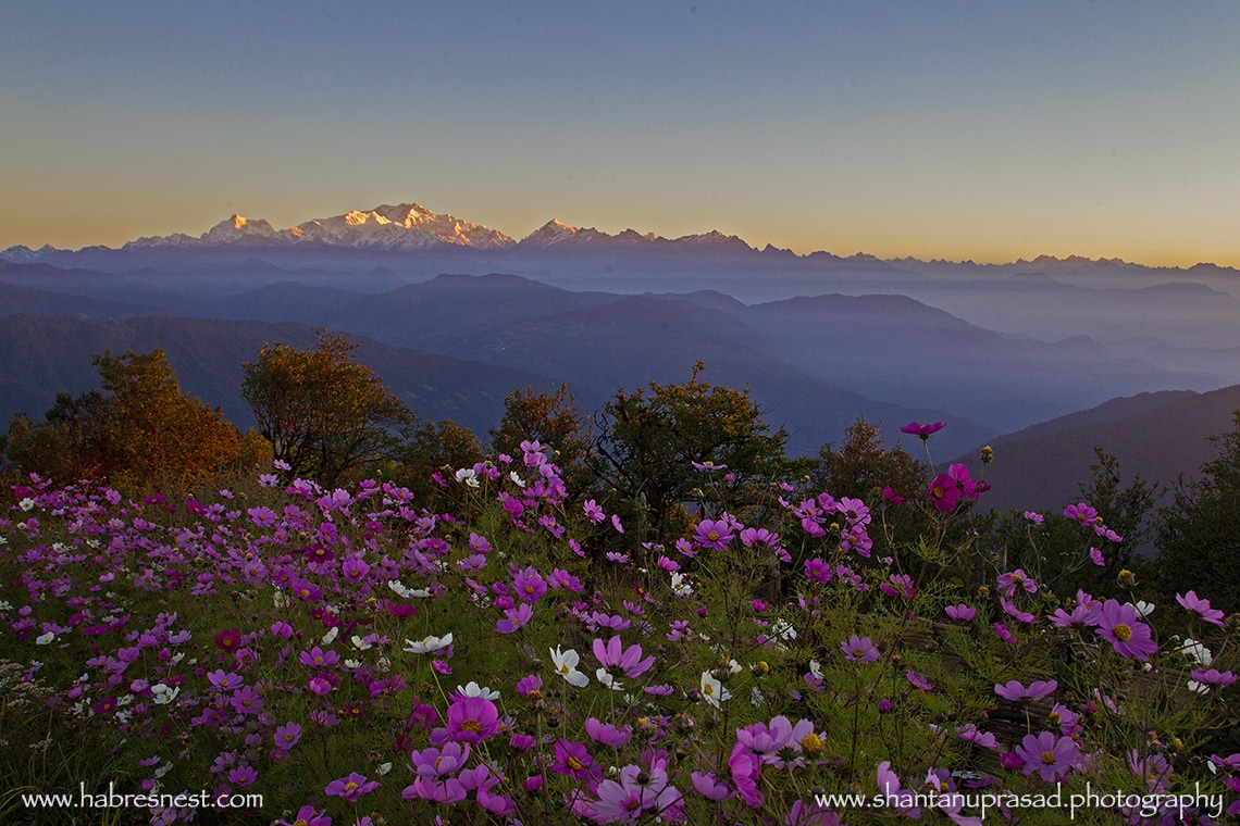 Singalila NAtionalpark im Sommer