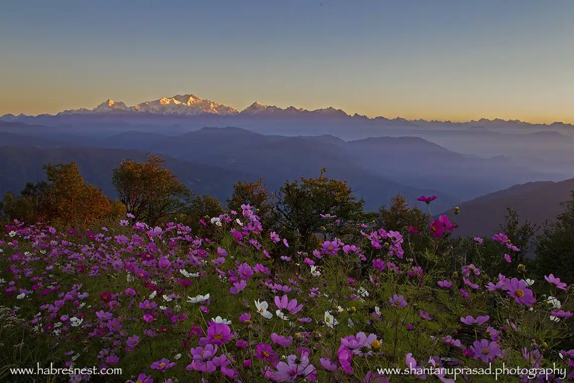 Singalila NAtionalpark im Sommer