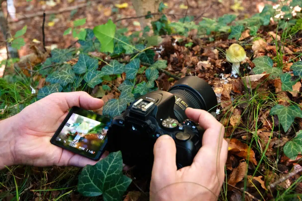 Macroobjektive erlauben es, kleine Details ganz groß zu fotografieren.