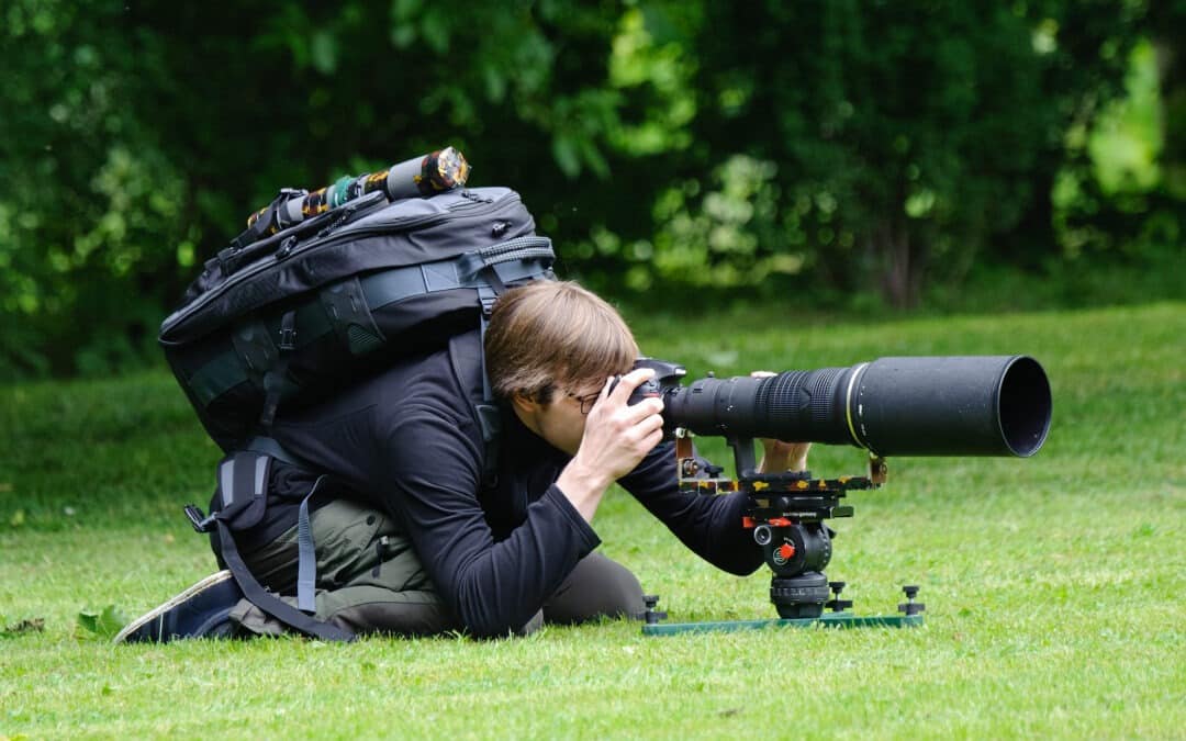 The right wildlife photography equipment: professional guide for beginners