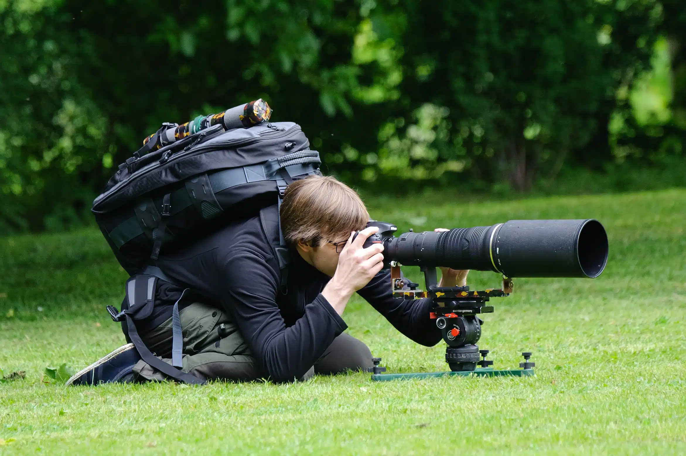 Die richtige Kamera für die Tierfotografie zu finden, ist eine Herausforderung.